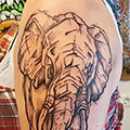 Olifant-Tattoo